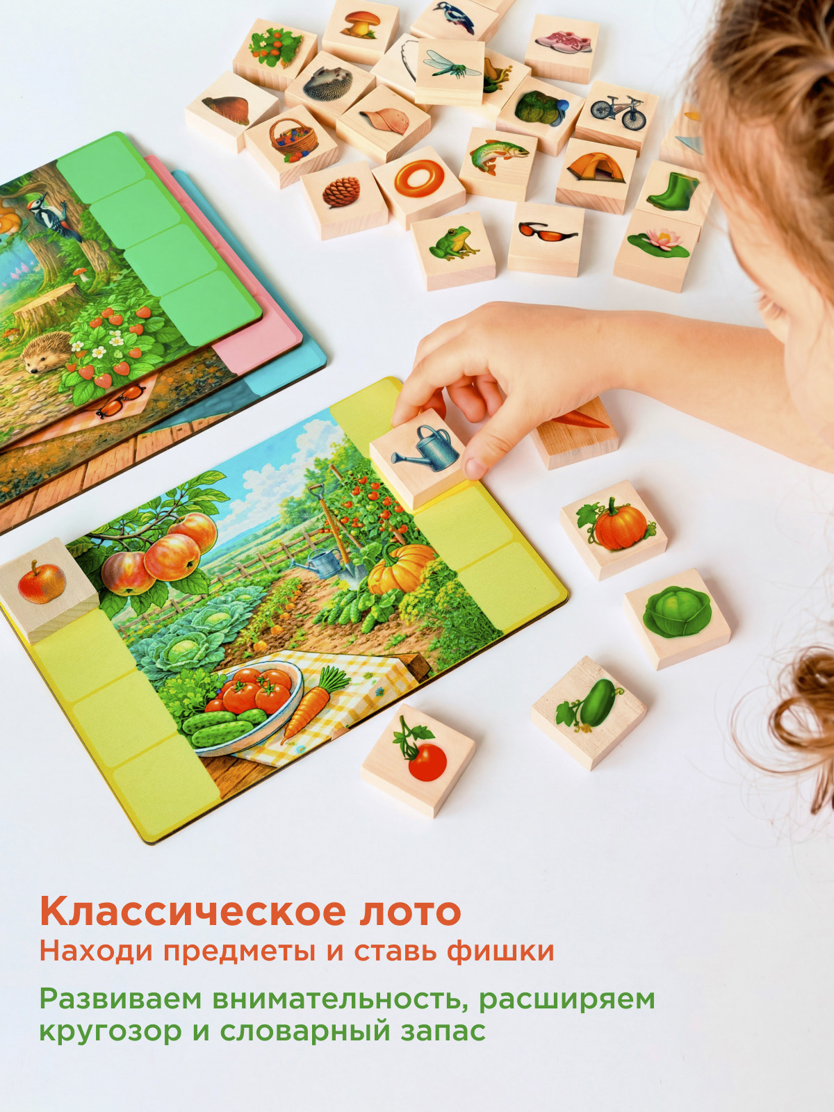 Лото Лето